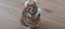 20+ моделей, фотогеничности которых можно только позавидовать