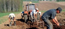 Фермерам из ЮАР выделят землю во Владимирской области