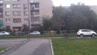 Сотрудники вологодского цирка гонялись за медведем по городу