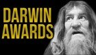 Подборка кандидатов на премию Дарвина