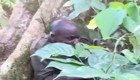 Захватывающий боевик из Уганды