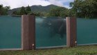 Японский зоопарк построил  65-метровый бассейн для слонов
