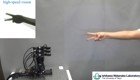 Японские студенты создали роботизированную руку, которую невозможно победить в «Камень, ножницы, бумага»