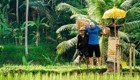 Там, где начинается рай: чудеса на Бали в разрешении 4K 