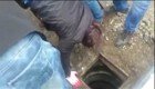Автослесари спасли щенка из канализации