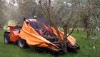 Удивительная машина для сбора урожая на оливковой ферме