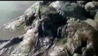 На пляж Мексики вынесло 4-метровое тело неизвестного морского монстра