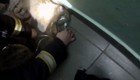 «Давай, давай, малыш! Дыши!» Российские пожарные спасли кота от отравления угарным газом