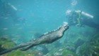 Огромная рептилия размером с человека найдена на Галапагосских островах