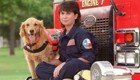 Все псы попадают в рай: cпасатели с почестями простились с последней собакой, искавшей выживших после теракта 11 сентября