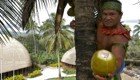 Как забраться на пальму и насладиться кокосом 