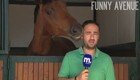 Самый дружелюбный конь не дает журналисту вести репортаж о лошадях