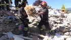 В Италии после землетрясения спасли золотистого ретривера, который провёл десять дней под завалами