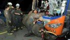 Автобус сбил дикого слона в Таиланде
