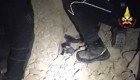 Чудесное спасение собаки из-под завалов в Италии 