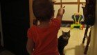 Кот и малыш отлично поняли друг друга! 