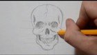 Как нарисовать человеческий череп карандашом 