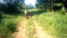 Мотоциклисты случайно наткнулись на таинственного лесного жителя