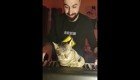  Колыбельная для котика: музыкант убаюкал своего пушистого питомца игрой на пианино