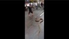 Храбрый 10-летний индонезиец укротил огромную змею, перепугавшую местных жителей