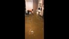 Мужчина ловит рыбу в собственной гостиной после наводнения в Хьюстоне