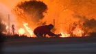 Мужчина рискнул жизнью, чтобы спасти дикого кролика во время пожара в Калифорнии
