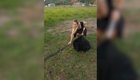 Девушка в платье и на каблуках поймала питона в Австралии