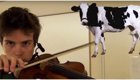 Музыкант мастерски имитирует звуки животных с помощью скрипки