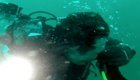 Опасное погружение: дайвер спас друга, оставшегося без кислорода на глубине 30 м