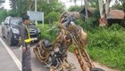 В Таиланде засняли Хищника на мотоцикле