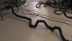 Японские инженеры создали робота-змею, который умеет подниматься по лестнице