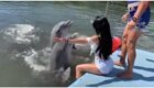 Дельфин  слишком буквально воспринял знаки внимания девушки