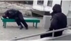 Заработались: В Подмосковье сняли на видео заснувших на улице пьяных полицейских