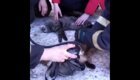 Магаданские пожарные реанимировали спасенных из пожара котиков
