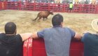 Мужчина начал дразнить быка и был наказан
