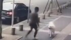 В Китае собака чуть не стала жертвой мошенника