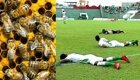 Пчелы атаковали футболистов на матче в Танзании