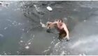 Астраханец залез в ледяную воду, чтобы спасти провалившуюся под лед бездомную собаку