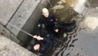 В Санкт-Петербурге полицейский спас прыгнувшего в ледяную воду парня
