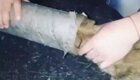 В Хакасии полицейские спасли попавшего в беду любопытного щенка