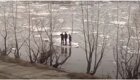 В Новокузнецке три "мамонтенка" решили уплыть в другой район на льдине