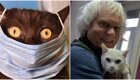 Юрий Куклачёв рассказал, какую опасность несёт коронавирус кошкам