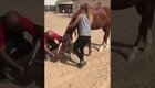 Девушка не знает как оседлать лошадь