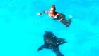 Женщина столкнулась нос к носу с акулой в день рождения