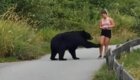 Медведь потрогал бегунью за ногу