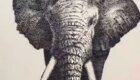 Учитель рисования из Китая создал изображение слона гвоздями на деревянной доске