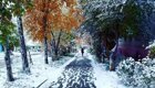 Кузбасские коммунальщики победили траву под первым снегом
