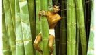 Поразительная трава: бамбук, каким вы его еще не видели