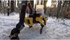 Boston Dynamics показала, как работает новая рука у робособак Spot