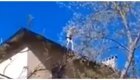 Летающий Володя: пьяный мужчина спрыгнул с крыши дома на дерево